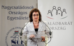 szekely_hajnalka01